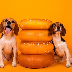 Fundraising Page: Aster & Ruhn Ketcham